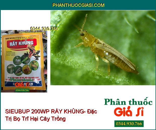 THUỐC TRỪ SÂU SIEUBUP 200WP RẦY KHỦNG- Đặc Trị Rầy Xanh- Bọ Trĩ- Rệp Sáp- Ruồi Vàng- Tuyến Trùng