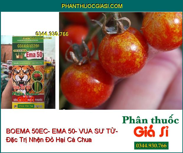 THUỐC TRỪ SÂU SINH HỌC BOEMA 50EC- EMA 50- VUA SƯ TỬ- Đặc Trị Sâu Nhện Kháng Thuốc