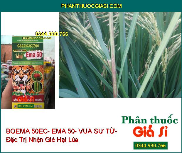 THUỐC TRỪ SÂU SINH HỌC BOEMA 50EC- EMA 50- VUA SƯ TỬ- Đặc Trị Sâu Nhện Kháng Thuốc