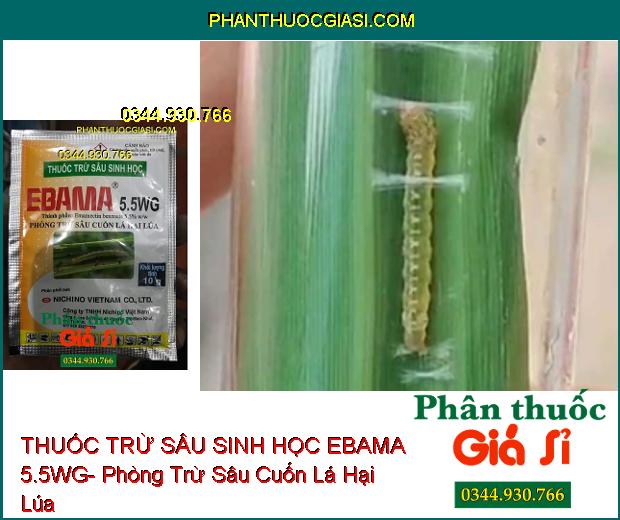 THUỐC TRỪ SÂU SINH HỌC EBAMA 5.5WG- Phòng Trừ Sâu Cuốn Lá Hại Lúa