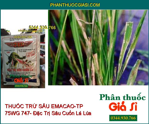 THUỐC TRỪ SÂU SINH HỌC EMACAO-TP 75WG 747- Đặc Trị Sâu Cuốn Lá