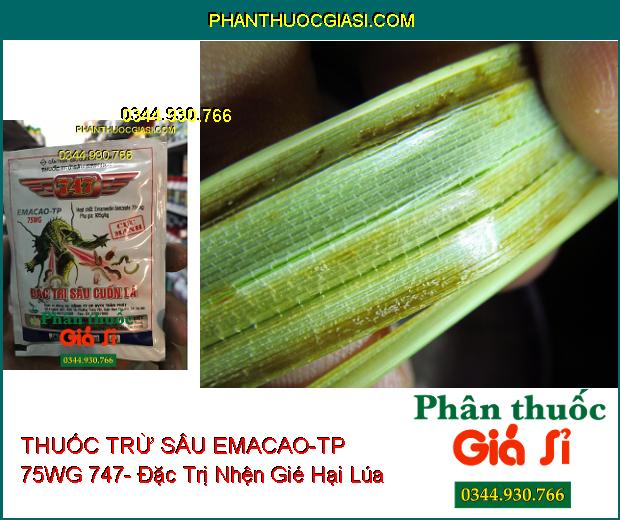 THUỐC TRỪ SÂU SINH HỌC EMACAO-TP 75WG 747- Đặc Trị Sâu Cuốn Lá