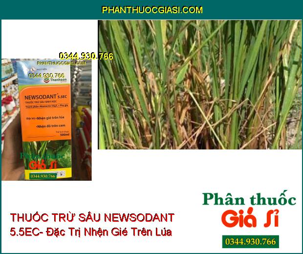 THUỐC TRỪ SÂU SINH HỌC NEWSODANT 5.5EC- Đặc Trị Nhện Gié Trên Lúa- Nhện Đỏ Trên Cam