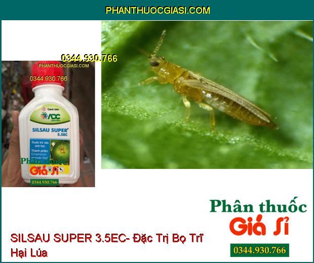 THUỐC TRỪ SÂU SINH HỌC SILSAU SUPER 3.5EC- Đặc Trị Sâu Hồng Đục Quả Bưởi