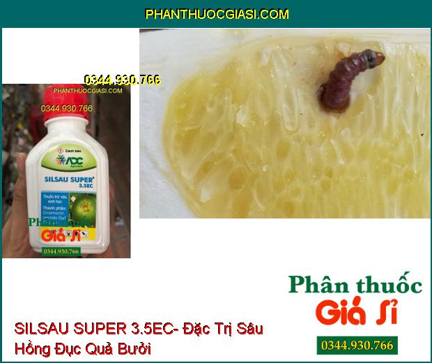 THUỐC TRỪ SÂU SINH HỌC SILSAU SUPER 3.5EC- Đặc Trị Sâu Hồng Đục Quả Bưởi