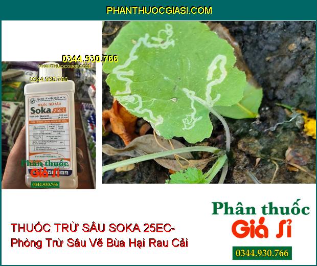 THUỐC TRỪ SÂU SOKA 25EC- Phòng Trừ Nhiều Loại Sâu Nhện Hại Cây Trồng