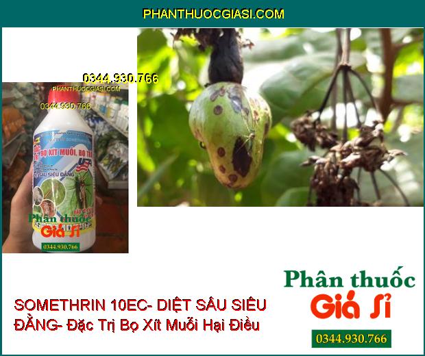 THUỐC TRỪ SÂU SOMETHRIN 10EC- DIỆT SÂU SIÊU ĐẲNG- Đặc Trị Bọ Xít Muỗi- Bọ Trĩ