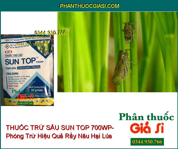 THUỐC TRỪ SÂU SUN TOP 700WP- Phòng Trừ Hiệu Quả Rầy Nâu Hại Lúa