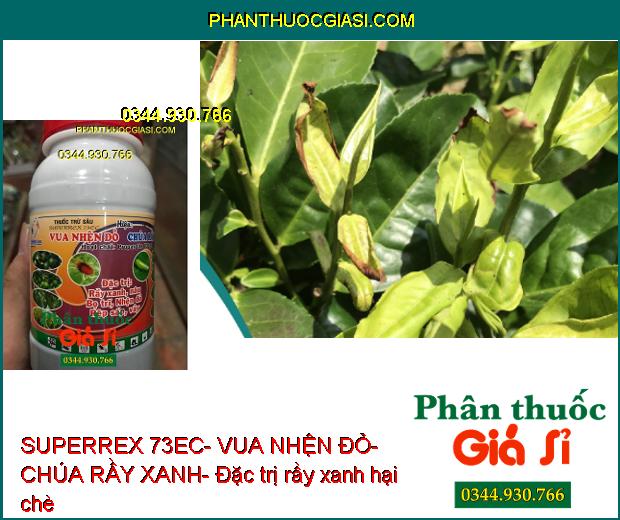 THUỐC TRỪ SÂU SUPERREX 73EC- VUA NHỆN ĐỎ- CHÚA RẦY XANH- Đặc Trị Nhện- Rầy