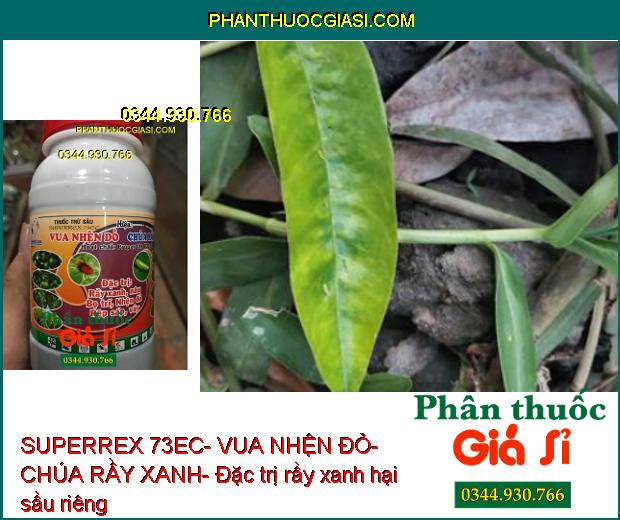 THUỐC TRỪ SÂU SUPERREX 73EC- VUA NHỆN ĐỎ- CHÚA RẦY XANH- Đặc Trị Nhện- Rầy