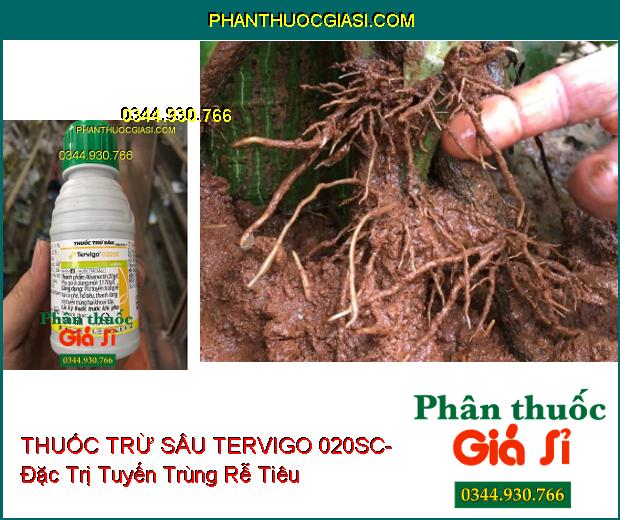 THUỐC TRỪ SÂU SINH HỌC TERVIGO 020SC- Đặc Trị Tuyến Trùng Rễ- Giúp Cho Rộ Rễ Khỏe Mạnh