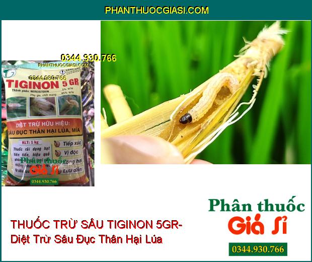 THUỐC TRỪ SÂU TIGINON 5GR- Diệt Trừ Hữu Hiệu Sâu Đục Thân Hại Lúa- Mía