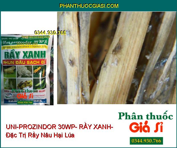 THUỐC TRỪ SÂU UNI-PROZINDOR 30WP- RẦY XANH- Đặc Trị Côn Trùng Chích Hút- Rầy Không Thể Lột Xác