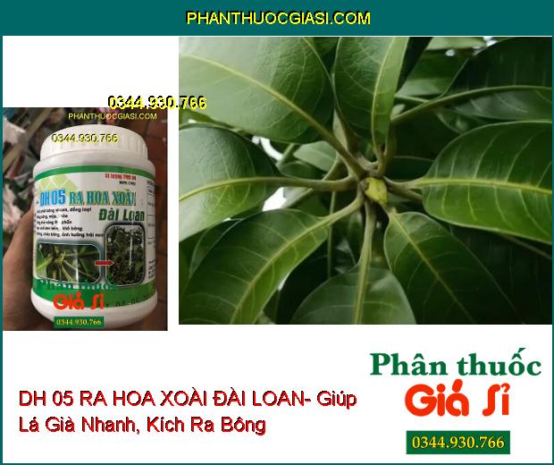 Vi Lượng TYM 04- DH 05 RA HOA XOÀI ĐÀI LOAN- Kích Phát Bông Nhanh- Bông Sáng- Tăng Thụ Phấn