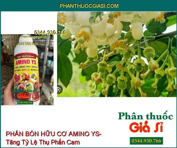 PHÂN BÓN HỮU CƠ AMINO YS- To Trái- Bóng Trái- Đẹp Màu- Mập Thân