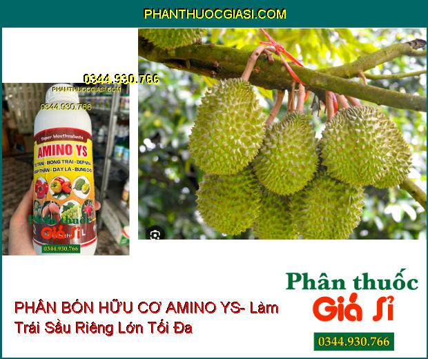 PHÂN BÓN HỮU CƠ AMINO YS- To Trái- Bóng Trái- Đẹp Màu- Mập Thân