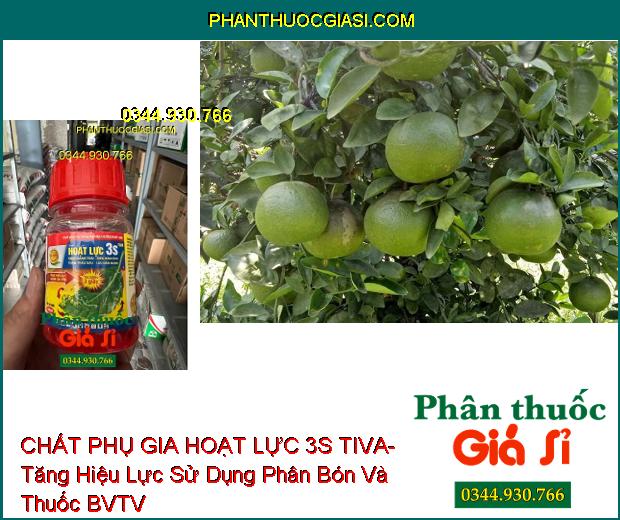 CHẤT PHỤ GIA HOẠT LỰC 3S TIVA- Tăng Hiệu Lực Sử Dụng Phân Bón Và Thuốc BVTV