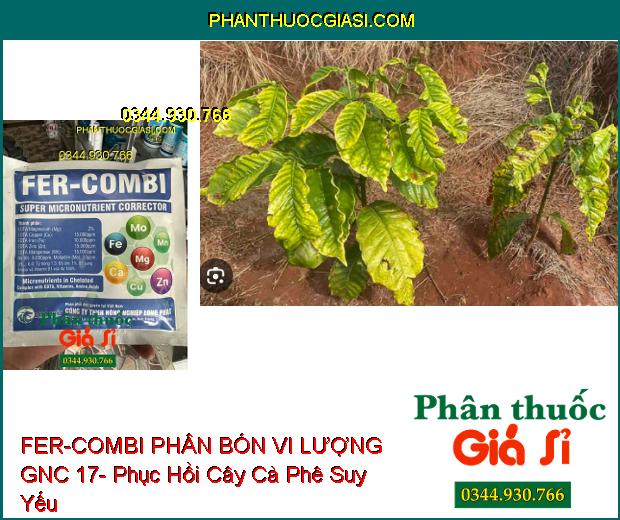 FER-COMBI PHÂN BÓN VI LƯỢNG GNC 17- Cung Cấp Vi Chất Cần Thiết Cho Cây- Giúp Cây Phục Hồi Nhanh