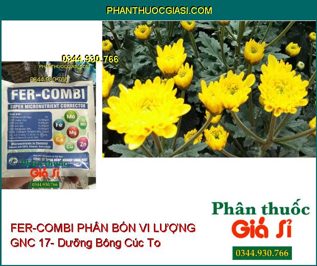 FER-COMBI PHÂN BÓN VI LƯỢNG GNC 17- Cung Cấp Vi Chất Cần Thiết Cho Cây- Giúp Cây Phục Hồi Nhanh