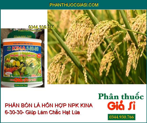 PHÂN BÓN LÁ HỖN HỢP NPK KINA 6-30-30- Chắc Hạt- Củ To- Trái Lớn