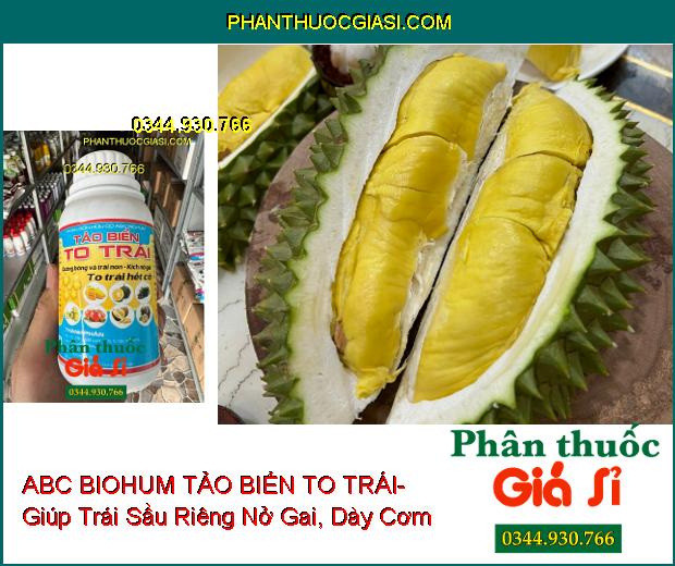 PHÂN BÓN HỮU CƠ ABC BIOHUM TẢO BIỂN TO TRÁI- Dưỡng Bông Và Trái Non- Kích Nở Gai