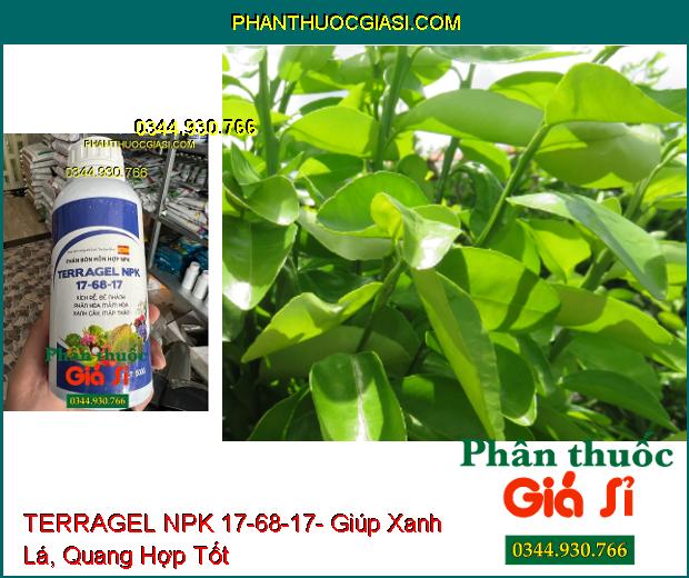 PHÂN BÓN LÁ HỖN HỢP TERRAGEL NPK 17-68-17- Kích Rễ- Đẻ nhánh- Phân Hóa Mầm Hoa