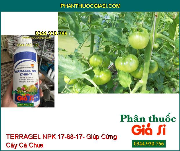 PHÂN BÓN LÁ HỖN HỢP TERRAGEL NPK 17-68-17- Kích Rễ- Đẻ nhánh- Phân Hóa Mầm Hoa