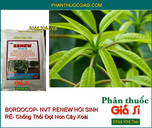 PHÂN BÓN VI LƯỢNG BORDOCOP- NVT RENEW HỒI SINH RỄ- Phục Hồi Rễ- Khắc Phục Thối Rễ- Chống Thối Đọt Non