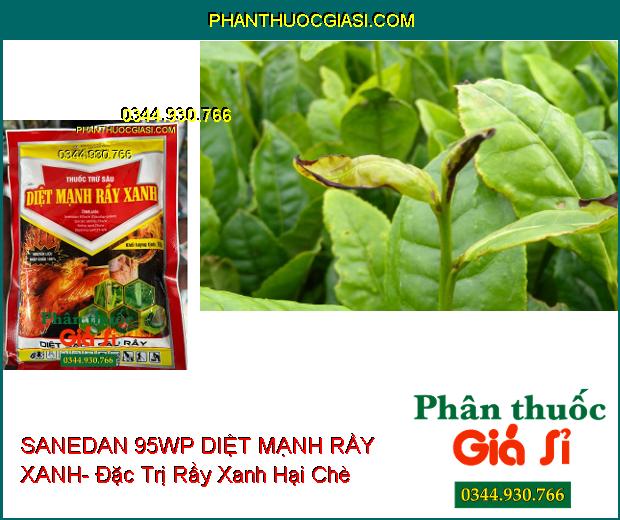 SANEDAN 95WP DIỆT MẠNH RẦY XANH- Đặc Trị Rầy Xanh- Bọ Trĩ- Sâu Đục Thân