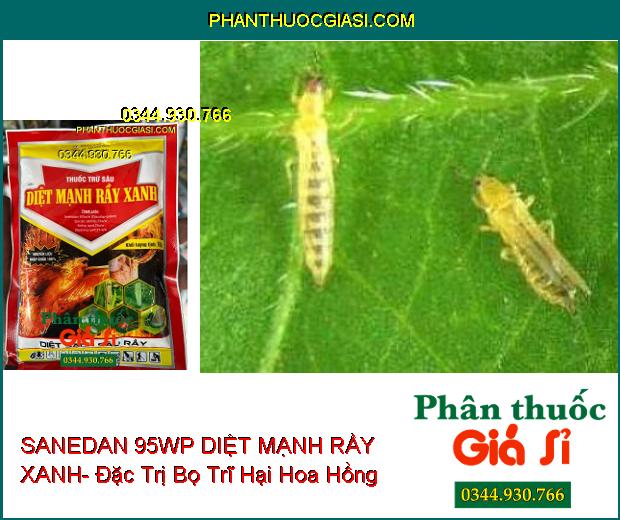 SANEDAN 95WP DIỆT MẠNH RẦY XANH- Đặc Trị Rầy Xanh- Bọ Trĩ- Sâu Đục Thân