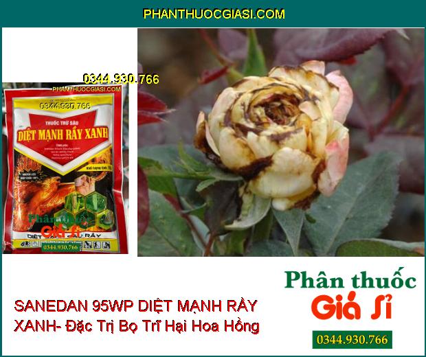 SANEDAN 95WP DIỆT MẠNH RẦY XANH- Đặc Trị Rầy Xanh- Bọ Trĩ- Sâu Đục Thân