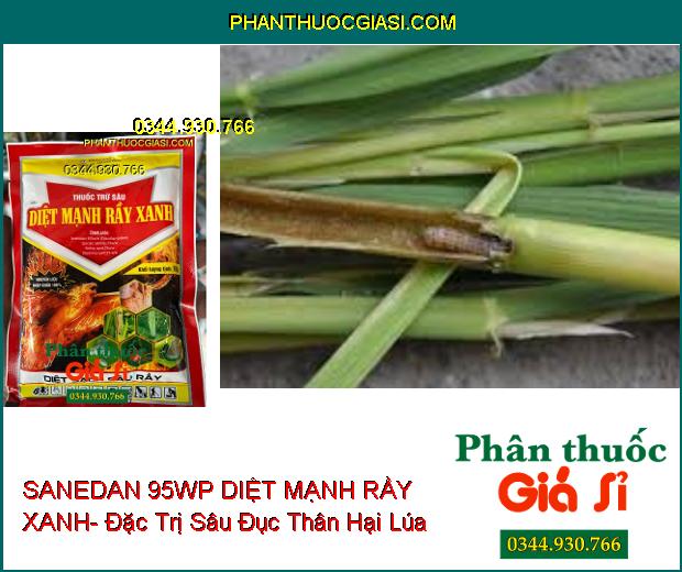 SANEDAN 95WP DIỆT MẠNH RẦY XANH- Đặc Trị Rầy Xanh- Bọ Trĩ- Sâu Đục Thân