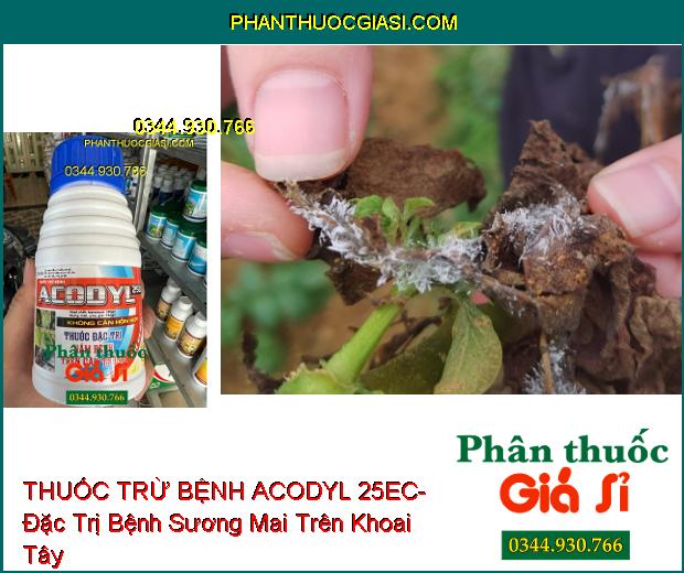 THUỐC TRỪ BỆNH ACODYL 25EC- Thuốc Đặc Trị Nấm Bệnh Trên Cây Trồng