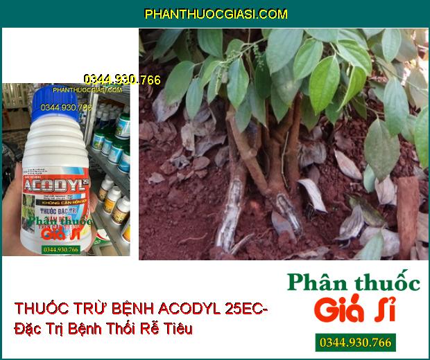 THUỐC TRỪ BỆNH ACODYL 25EC- Thuốc Đặc Trị Nấm Bệnh Trên Cây Trồng