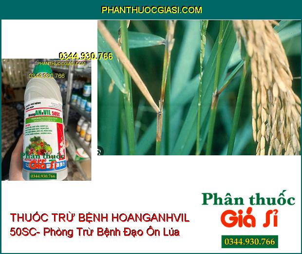 THUỐC TRỪ BỆNH HOANGANHVIL 50SC- Đặc Trị Nấm Bệnh Hại Cây Trồng