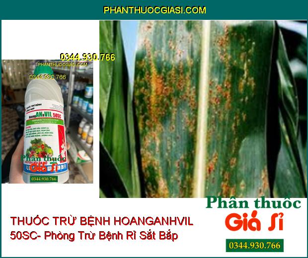 THUỐC TRỪ BỆNH HOANGANHVIL 50SC- Đặc Trị Nấm Bệnh Hại Cây Trồng