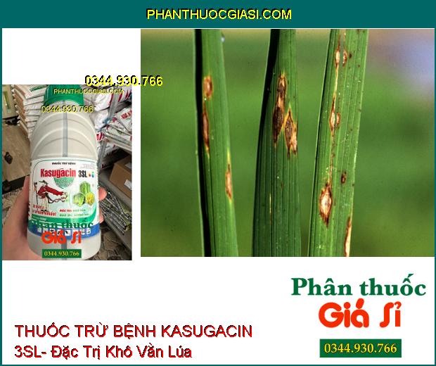 THUỐC TRỪ BỆNH KASUGACIN 3SL- Đặc Trị Khô Vằn- Đạo Ôn- Sương Mai