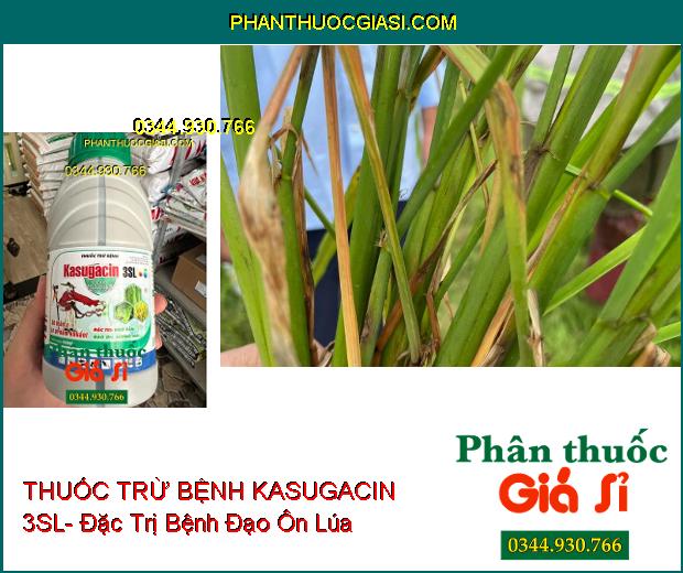 THUỐC TRỪ BỆNH KASUGACIN 3SL- Đặc Trị Khô Vằn- Đạo Ôn- Sương Mai