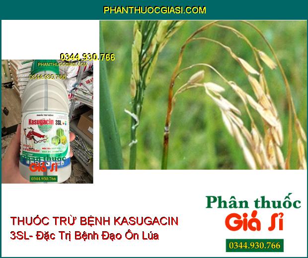 THUỐC TRỪ BỆNH KASUGACIN 3SL- Đặc Trị Khô Vằn- Đạo Ôn- Sương Mai