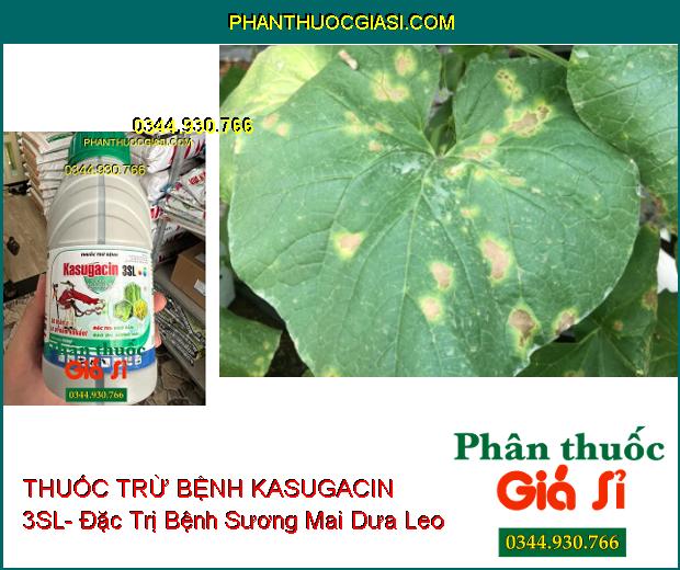 THUỐC TRỪ BỆNH KASUGACIN 3SL- Đặc Trị Khô Vằn- Đạo Ôn- Sương Mai