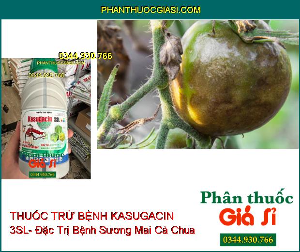 THUỐC TRỪ BỆNH KASUGACIN 3SL- Đặc Trị Khô Vằn- Đạo Ôn- Sương Mai