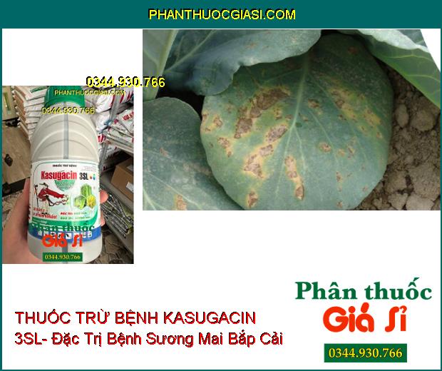 THUỐC TRỪ BỆNH KASUGACIN 3SL- Đặc Trị Khô Vằn- Đạo Ôn- Sương Mai