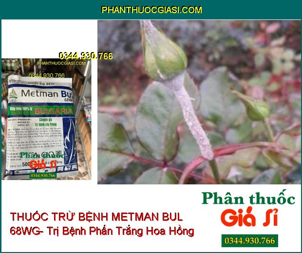 THUỐC TRỪ BỆNH METMAN BUL 68WG- Chuyên Gia Trị Bệnh Cây Trồng