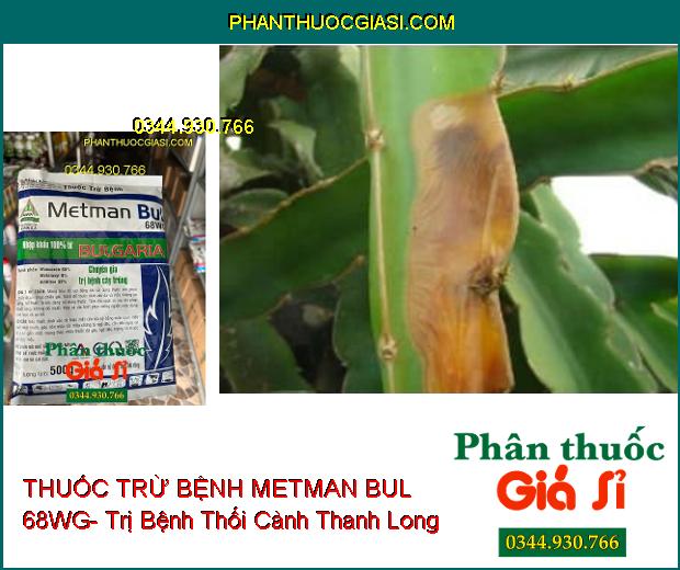 THUỐC TRỪ BỆNH METMAN BUL 68WG- Chuyên Gia Trị Bệnh Cây Trồng