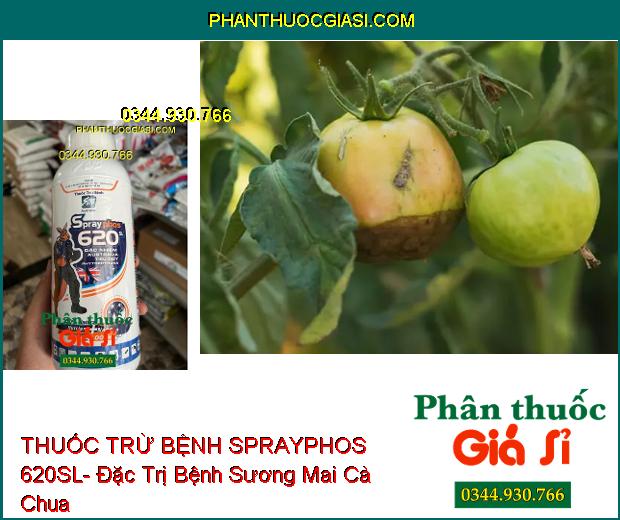 THUỐC TRỪ BỆNH SPRAYPHOS 620SL- Đặc Trị Nhiều Loại Bệnh Hại Cây Trồng