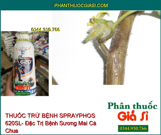 THUỐC TRỪ BỆNH SPRAYPHOS 620SL- Đặc Trị Nhiều Loại Bệnh Hại Cây Trồng