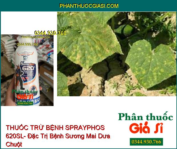 THUỐC TRỪ BỆNH SPRAYPHOS 620SL- Đặc Trị Nhiều Loại Bệnh Hại Cây Trồng