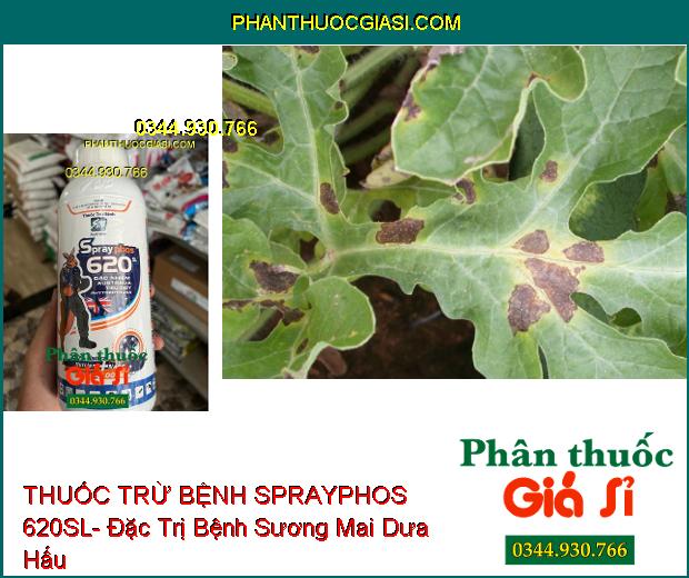 THUỐC TRỪ BỆNH SPRAYPHOS 620SL- Đặc Trị Nhiều Loại Bệnh Hại Cây Trồng