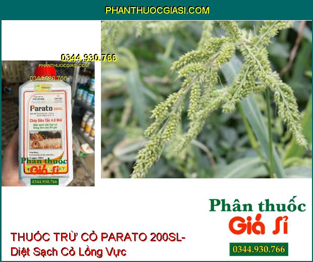 THUỐC TRỪ CỎ PARATO 200SL- Diệt Sạch Các Loại Cỏ- Cỏ Cháy Khô Sau 24h