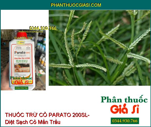 THUỐC TRỪ CỎ PARATO 200SL- Diệt Sạch Các Loại Cỏ- Cỏ Cháy Khô Sau 24h